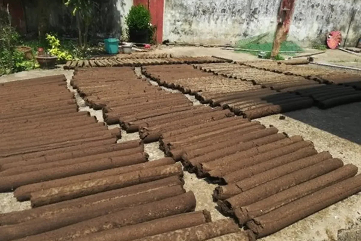Wood from cow dung