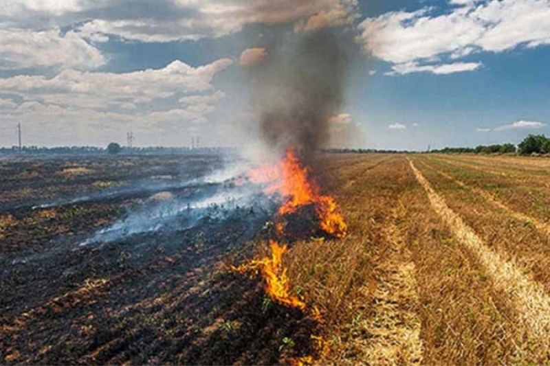 air pollution in Rajasthan