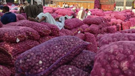 alwar Red Onion