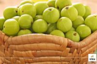 3 delicious recipe of amla
