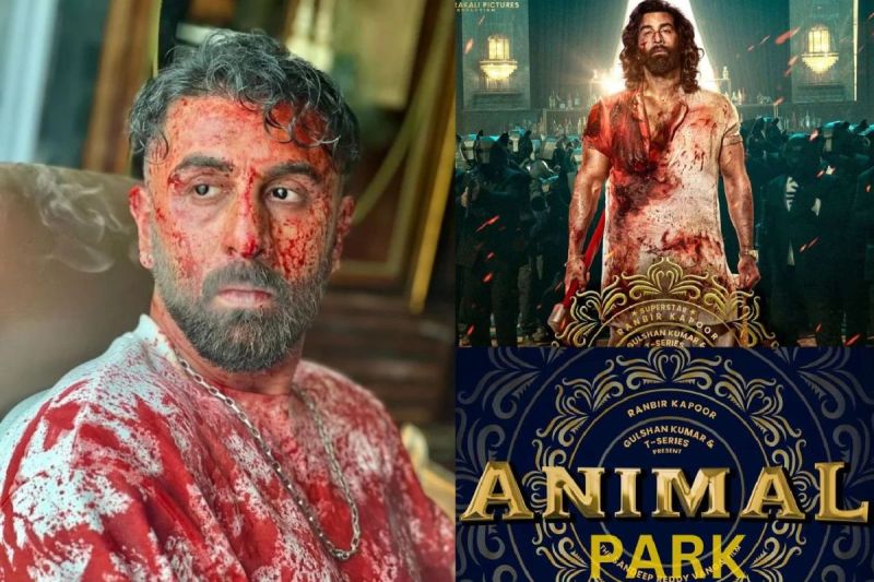 Ranbir Kapoor Animal Park Dhamaal 3 And Border 2 release date update given by Bhushan Kumar