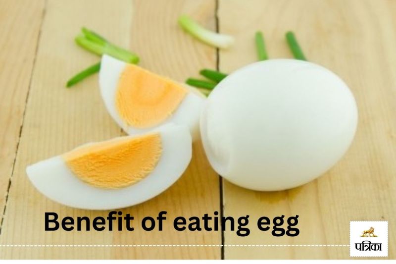 Benefit of eating egg daily