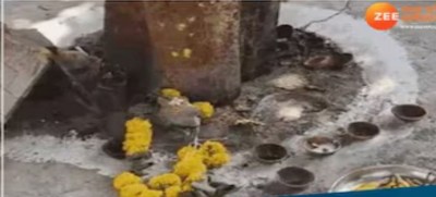 Capital police is searching for Bholenath, women are asking where God has gone