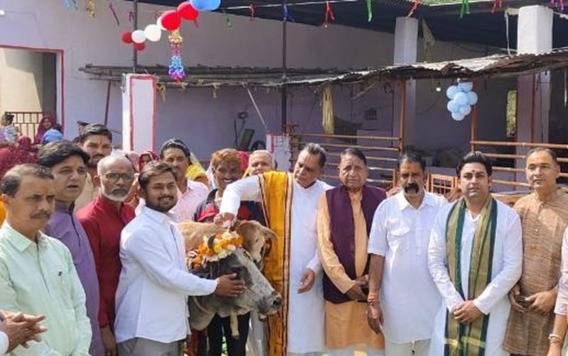 गोपाष्टमी : गोमाता का पूजन किया, चुनरी ओढ़ाकर की परिक्रमा