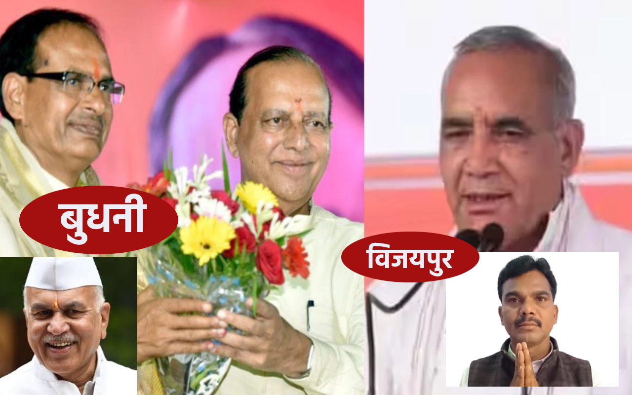 mp by election result 2024: बुधनी और विजयपुर में मतदान, 23 नवंबर को आएगा रिजल्ट