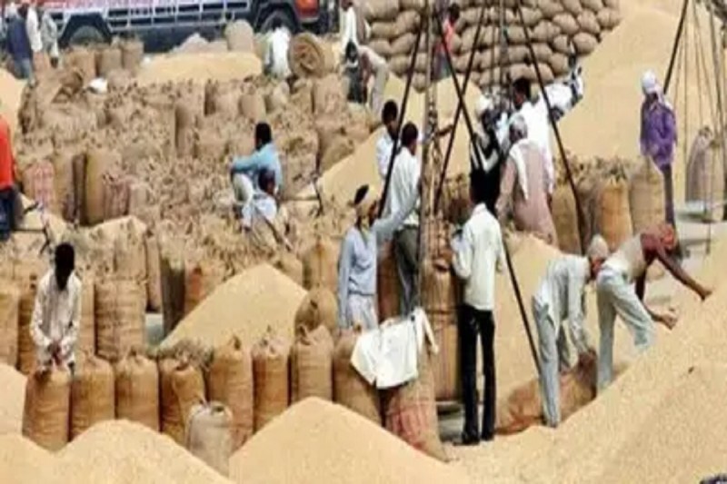 कागज़ों में खरीदी शुरू, मैदान में शून्य! दीपक बैज ने कहा- धान खरीदी केंद्रों से मायूस होकर लौट रहे किसान...(photo-patrika)