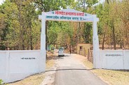 Jungal Safari
