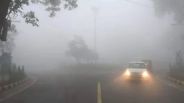 MP Weather
