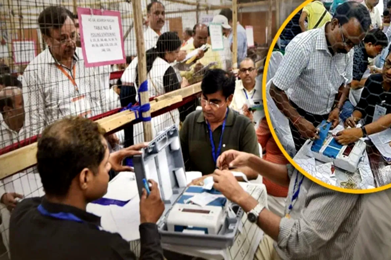 MP By Election Result Live