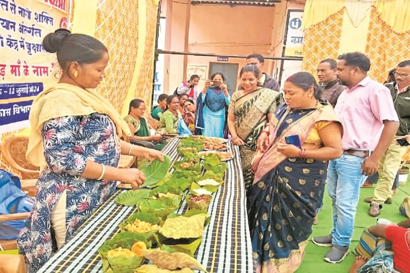 Organic Dantewada Conclave