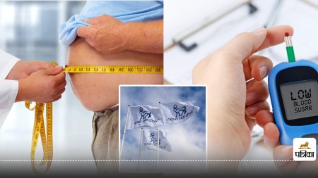 diabetes and obesity reducing medicines