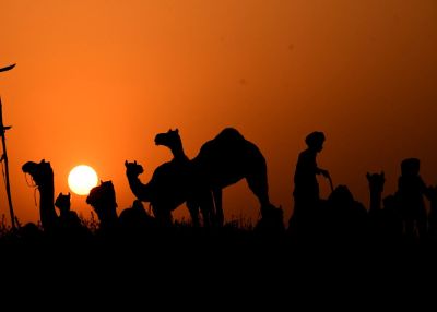 Short video poster image