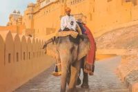 Amer Fort elephant ride