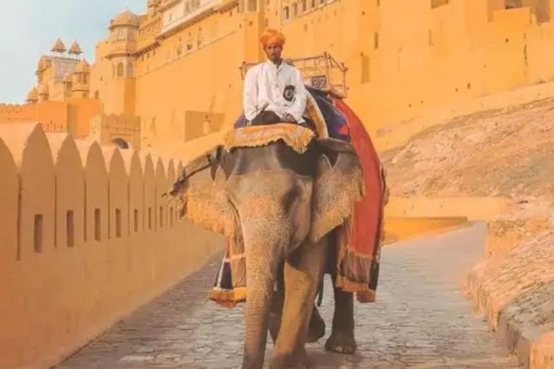 Amer Fort elephant ride