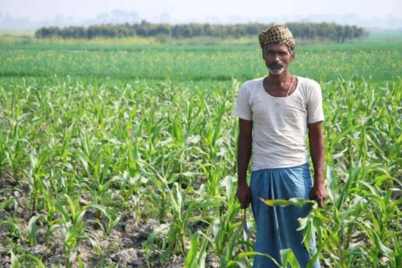 यूपी सरकार की सब्सिडी स्कीम, परवल की खेती पर सब्सिडी से जुड़ी न्यूज, किसानों के लिए सरकारी योजना, किसान सब्सिडी समाचार, किसान, एग्रीकल्चर न्यूज, एग्रीकल्चर, pointed gourd farming, parwal ki kheti par subsidy, agri business idea