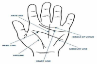 hast rekha akriti in hindi