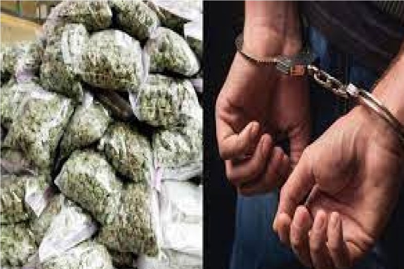 CG Crime News: गांजा तस्कर के 17.31 लाख रुपए को पुलिस ने कराया होल्ड, आरोपी गिरफ्तार