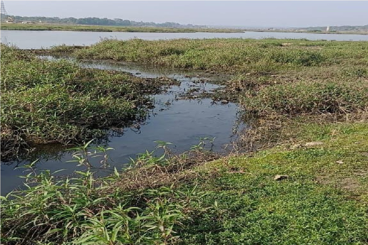 CG News: नालियों का पानी हसदेव नदी में छोडऩे पर कार्रवाई, पर्यावरण विभाग ने भेजा 9.90 करोड़ का नोटिस