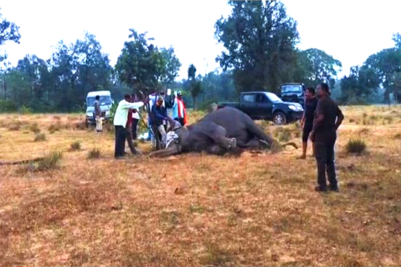 Bandhavgarh Tiger Reserve