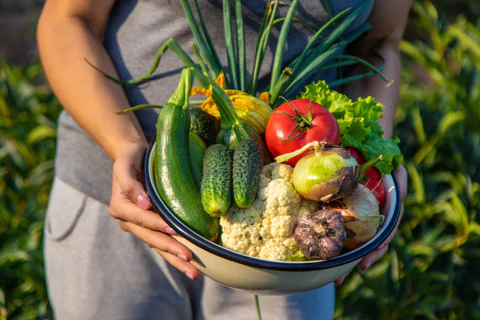 kitchen garden