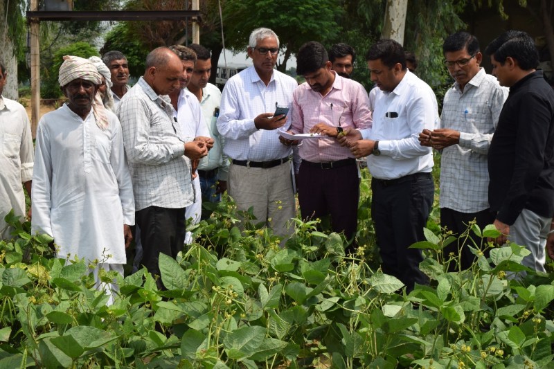 आधुनिक खेती के लिए अब सरकार देगी अनुदान, किसानों ने दिखाया उत्साह
