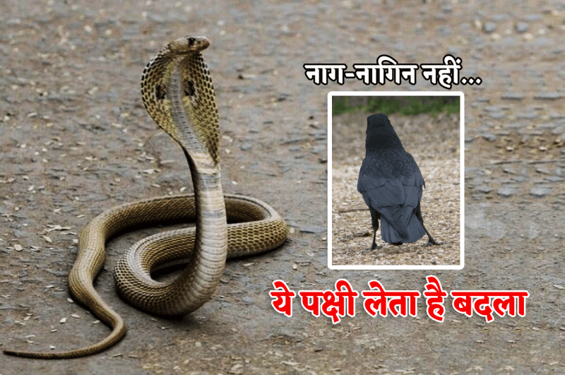 MP News interesting facts