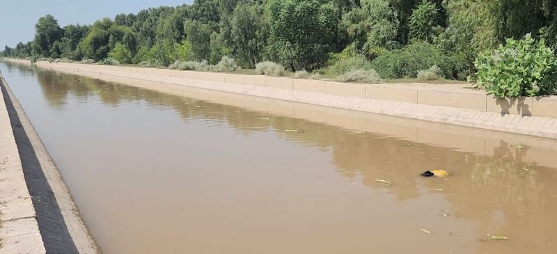 Dead bodies of minor friends missing from home found in canal with hands tied together with scarf