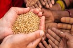 राष्ट्रीय खाद्य सुरक्षा योजना