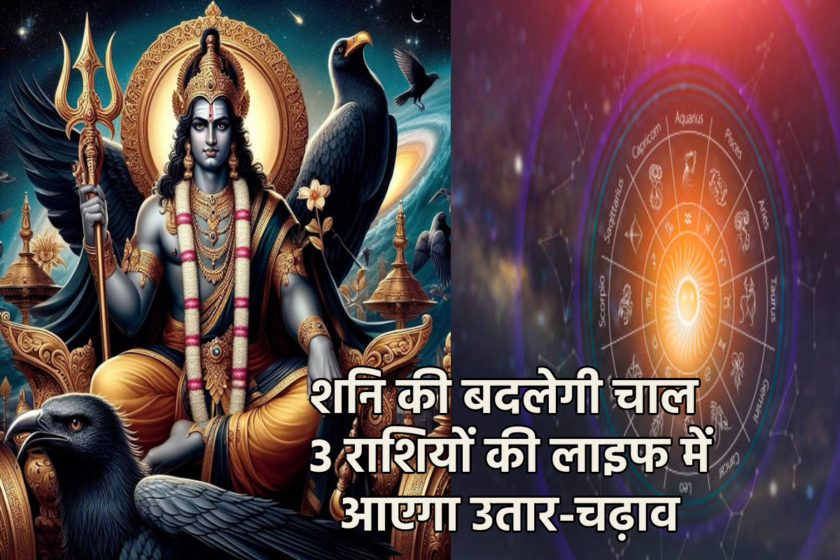 Shani Margi 15 November 2024