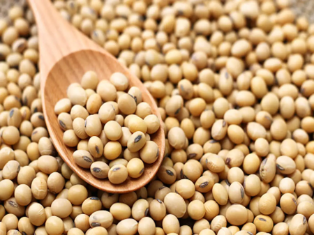 Soybean prices in MP