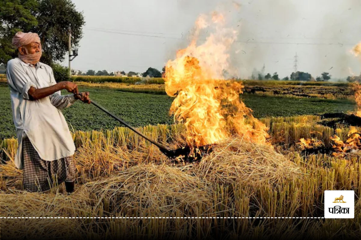 Stubble Burning: पराली जलाने पर अब डबल पेनाल्टी, SC की सख्ती के बाद भारत सरकार
ने बढ़ाया जुर्माना