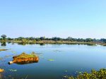CG News: दीपावली और छठ पूजा की तैयारी! गौरा विसर्जन को लेकर तालाबों की सफाई अभियान जारी...(photo-patrika)