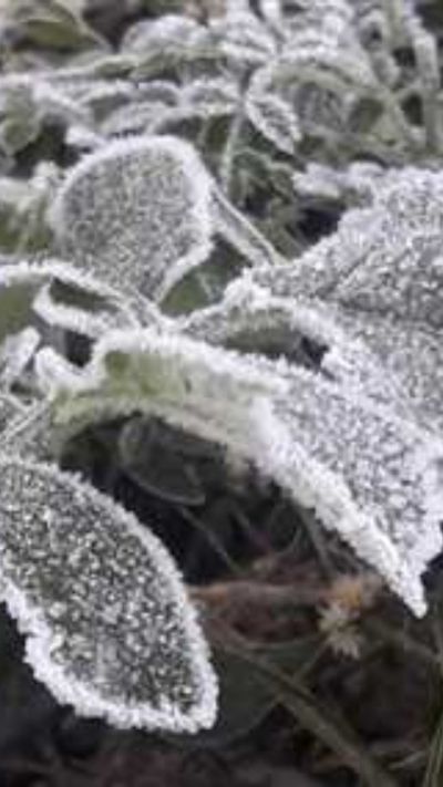 Short video poster image