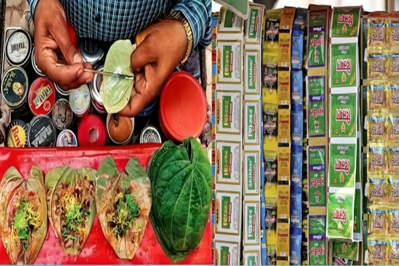 UP Pan Masala Business