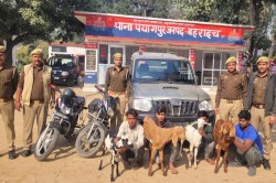 Bahraich News: पुलिस ने आधी रात को रोकी स्कॉर्पियो गाड़ी, अंदर का नजारा देख सन्न
रह गई पुलिस - image