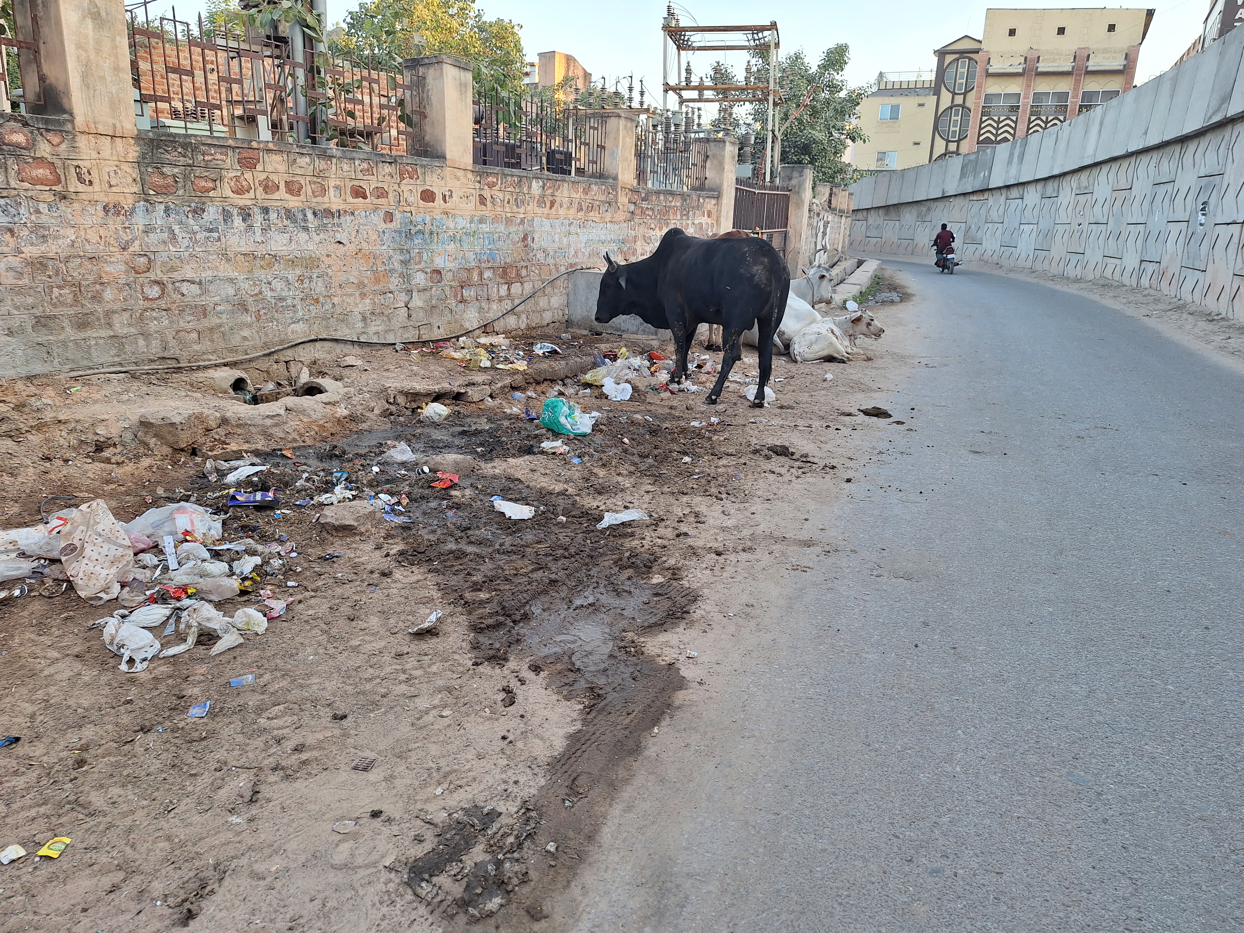 Nagaur patrika latest news…नियमित एवं संविदा सफाई कर्मियों की फौज के साथ अधिकारियों की निगरानी भी नहीं कर पा रही शहर को साफ…VIDEO