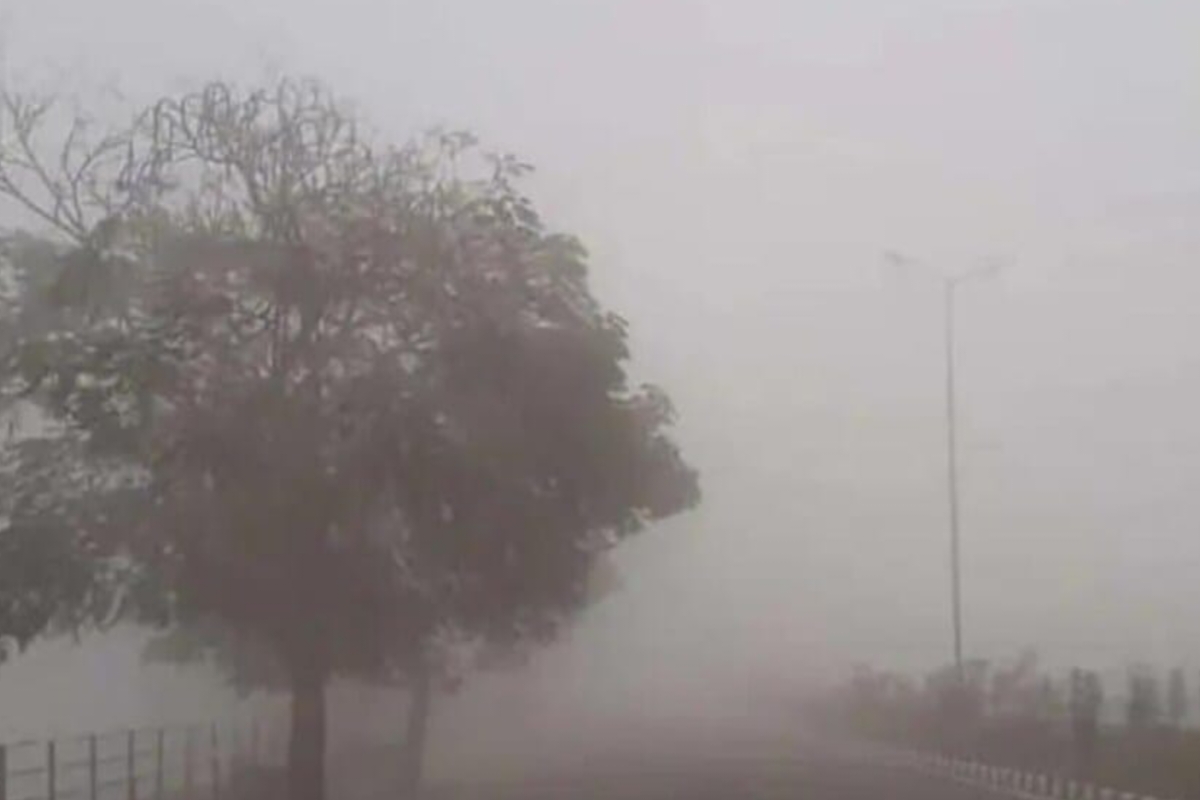 UP weather: कोल्ड वेव पर लगेगी ब्रेक, देवीपाटन मंडल समेत इन जिलों में छाएगा घना
कोहरा, जानिए IMD का लेटेस्ट अपडेट