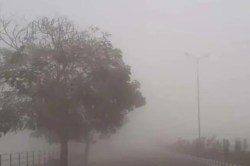 UP weather: कोल्ड वेव पर लगेगी ब्रेक, देवीपाटन मंडल समेत इन जिलों में छाएगा घना
कोहरा, जानिए IMD का लेटेस्ट अपडेट - image