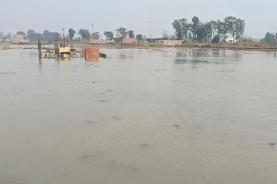 Azamgarh News: नहर टूटने से 2 किलोमीटर तक की किसानों की फसल तबाह - image