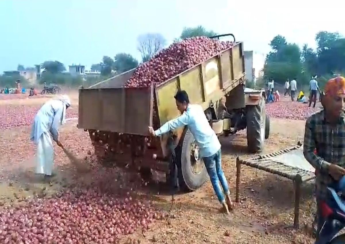 बारिश से भीगी लाल प्याज, नुकसान से बचाने के लिए जुट रहे किसान परिवार