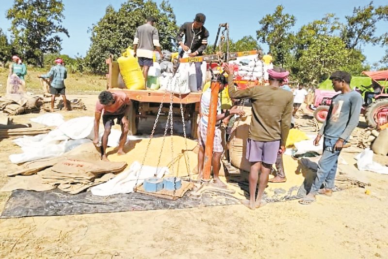 ऑनलाइन धान खरीदी नियमों का उल्लंघन (photo source- Patrika)