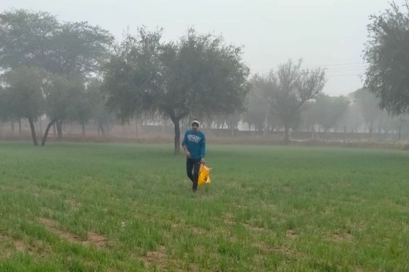 Hope for bumper crop