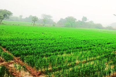 Short video poster image