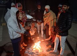 बारिश के बाद दलहनी फसलों व सब्जियों में माहू के साथ पत्ती छेदन कीट का बढ़ा खतरा - image