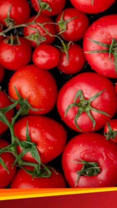 Short video poster image