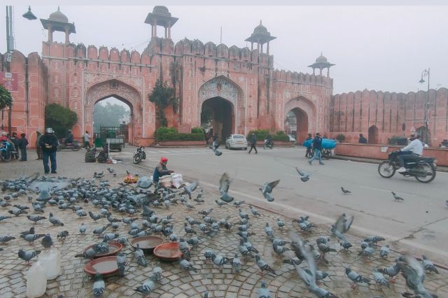 Jaipur Weather Update Today