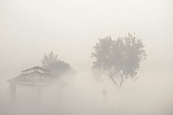 UP Weather Alert: लखनऊ का मौसम: पश्चिमी विक्षोभ से बदलेगा मौसम, बारिश और कोहरा
बढ़ाएंगे ठंड - image