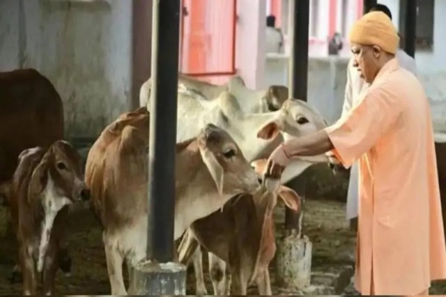 Uttar Pradesh tops in milk production