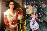 Alia Bhatt planted Christmas tree at home