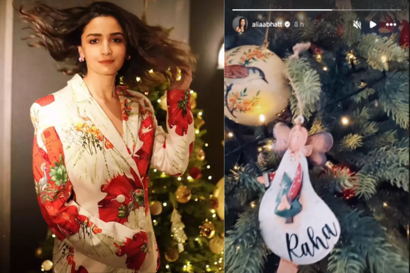 Alia Bhatt planted Christmas tree at home